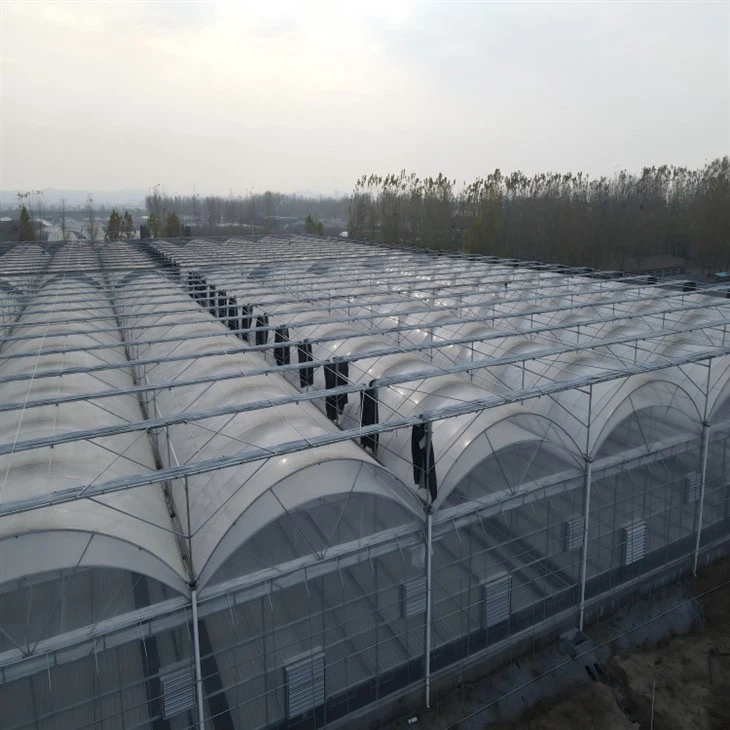 Steel Frame Polytunnel suppliers